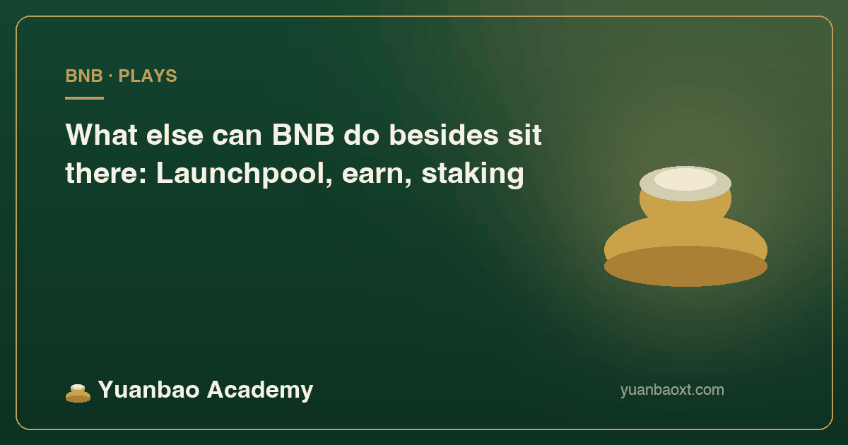 What else can BNB do besides sit there, cover image